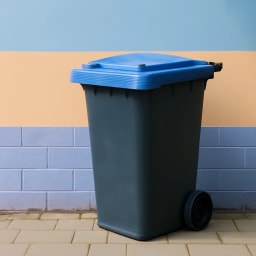 Photo de bin